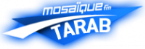 Tarab Mosaique FM
