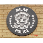 Milan Police and Fire