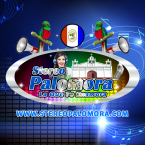 Stereo Palomora