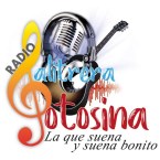 Radio Salitrera Potosina