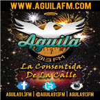 AGUILA 91.3 FM