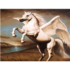 radio galop