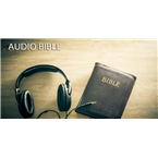 continuous audio bible reading