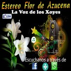 Estereo Flor de Azucena HD