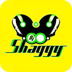 Dj Shaggy Venezuela