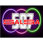 salsa507