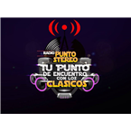 Radio Punto Stereo Chile