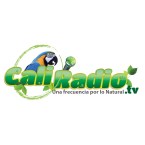 Caliradio