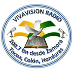 VIVAVISION