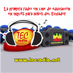 tec radio puyo