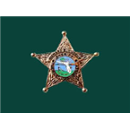 Hernando County Sheriff and Fire