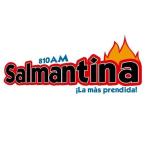 Salmantina 810