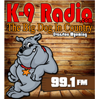 99.1 KNYN THE BIG DOG