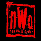 new world order reggae station