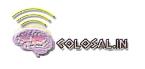 COLOSAL.IN