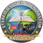 STEREO JESUS ??THE GOOD SHEPHERD