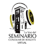 La voz del seminario virtual