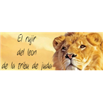 elrujirdelleondelatribudejuda