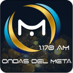 Ondas del Meta