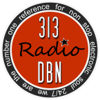 313 DBN Radio