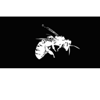 Bombus Radio