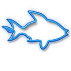 Fishing Fiesta Radio