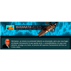 Radio Maranata Medios