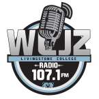 WLJZ 107.1 FM