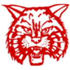 Springwood High Wildcats