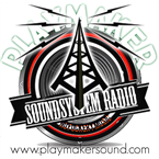 PlaymakerSound System Radio