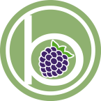 BlackBerry Radio