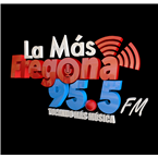 La Mas Fregona 95.5