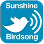 Sunshine Birdsong