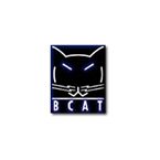 BCAT 3