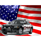 Fulton County Public Safety-Analog