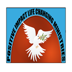 Positive Impact Radio (PIR)