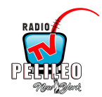 PELILEOFM RADIO TV