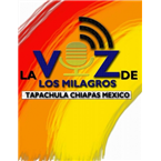 Transformando Vidas
