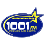 1001 FM