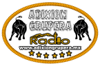 Adixion Grupera Radio