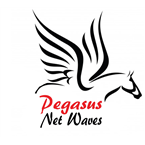 Pegasus Net Waves