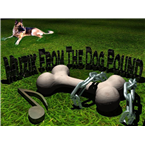 Muzikfromthedogpound