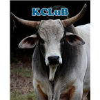 Lkcb 128.4 Classic Blues