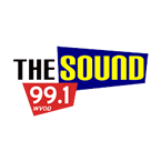 The Sound 99.1