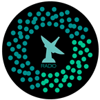 CONNECTION RADIO