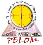 Radio Pelom