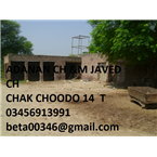 apna noor jamal