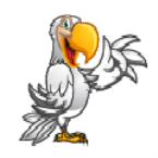 Seagull Community Radio (Seagull FM)
