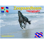 zeepaardteam