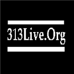 313 Live.Org